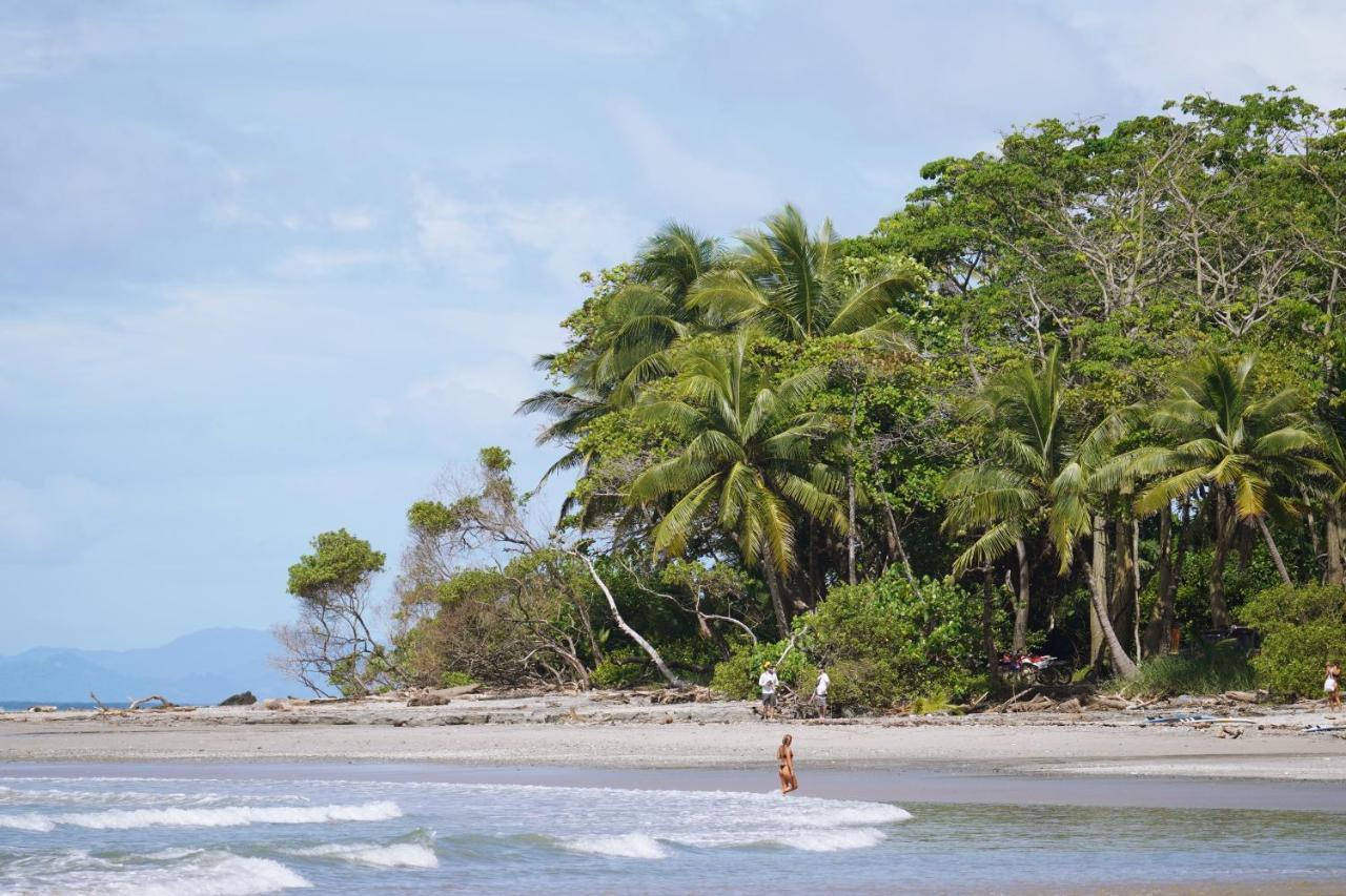 Nautilus Surf & Yoga Villas Santa Teresa Playa Santa Teresa  エクステリア 写真