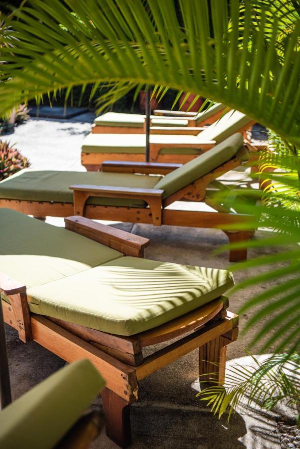 Nautilus Surf & Yoga Villas Santa Teresa Playa Santa Teresa  エクステリア 写真