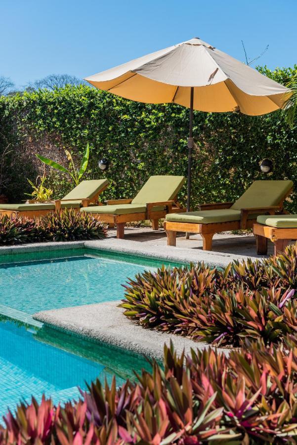 Nautilus Surf & Yoga Villas Santa Teresa Playa Santa Teresa  エクステリア 写真