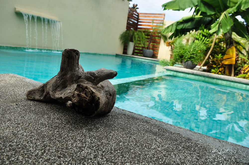 Nautilus Surf & Yoga Villas Santa Teresa Playa Santa Teresa  エクステリア 写真