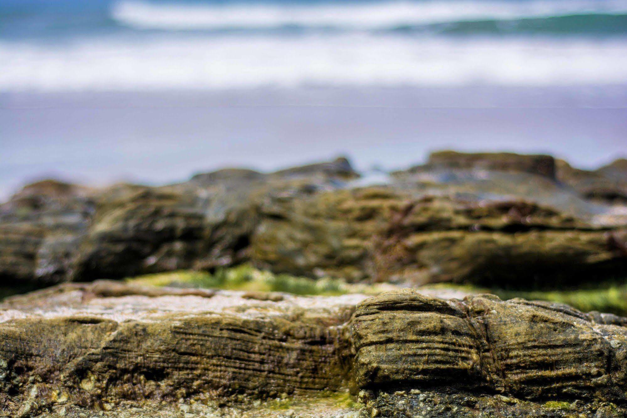 Nautilus Surf & Yoga Villas Santa Teresa Playa Santa Teresa  エクステリア 写真