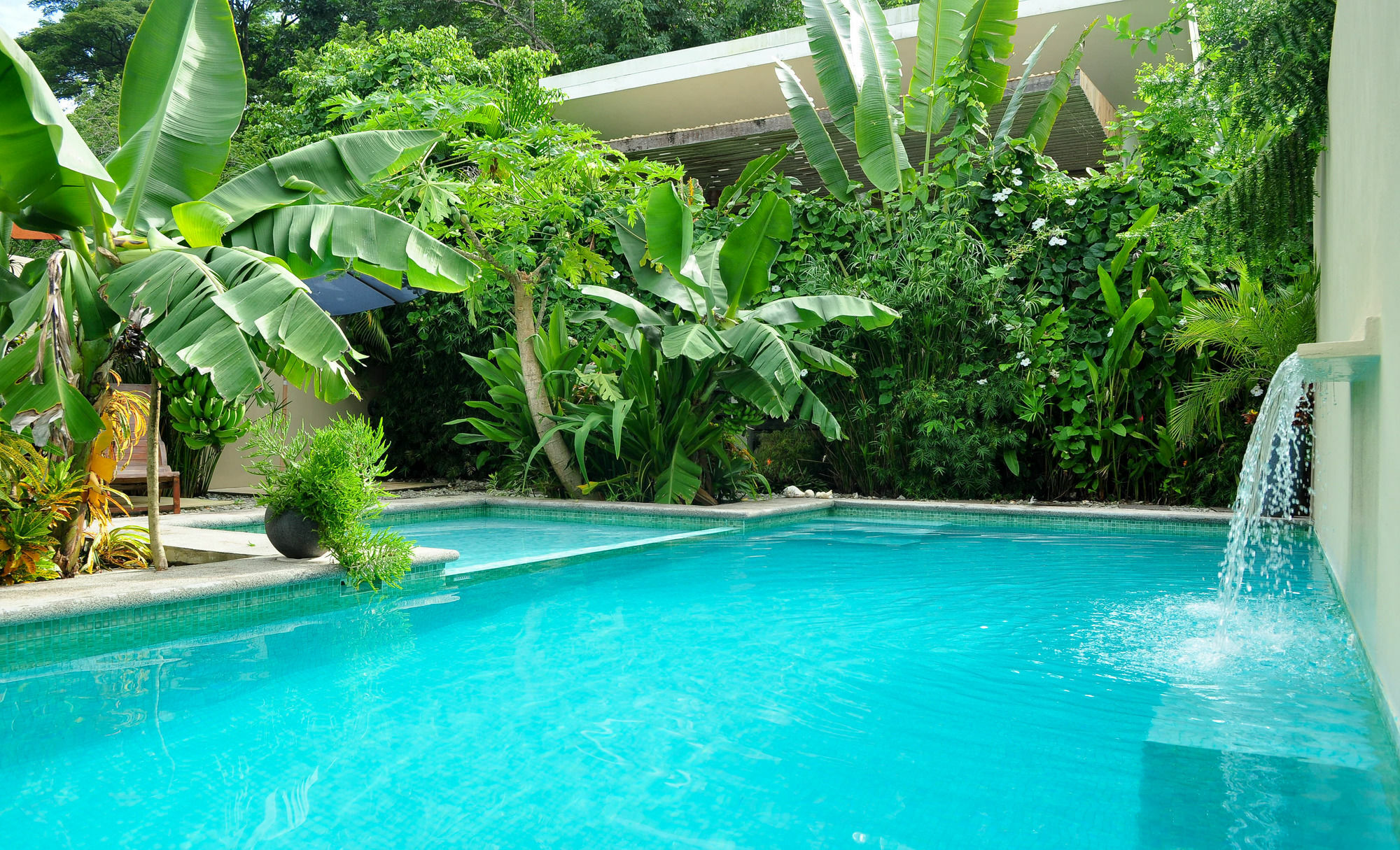 Nautilus Surf & Yoga Villas Santa Teresa Playa Santa Teresa  エクステリア 写真